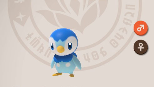 Piplup