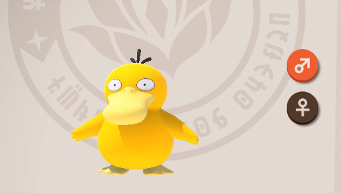 Psyduck