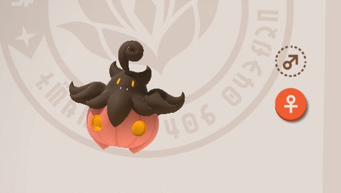 Pumpkaboo