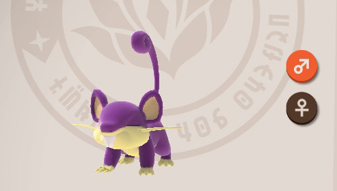 Rattata