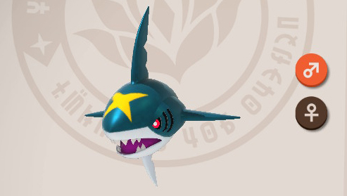 Sharpedo