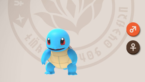 Squirtle