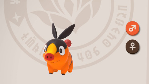 Tepig