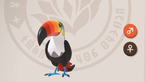 Toucannon