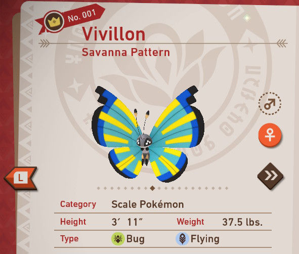 Savanna Pattern