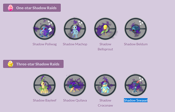 Shadow Raids