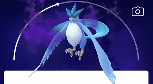 Shadow Articuno