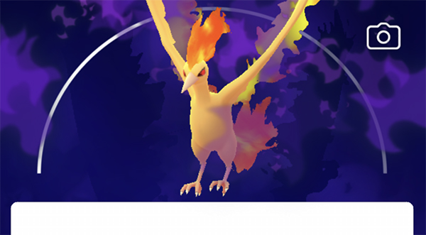 Shadow Moltres